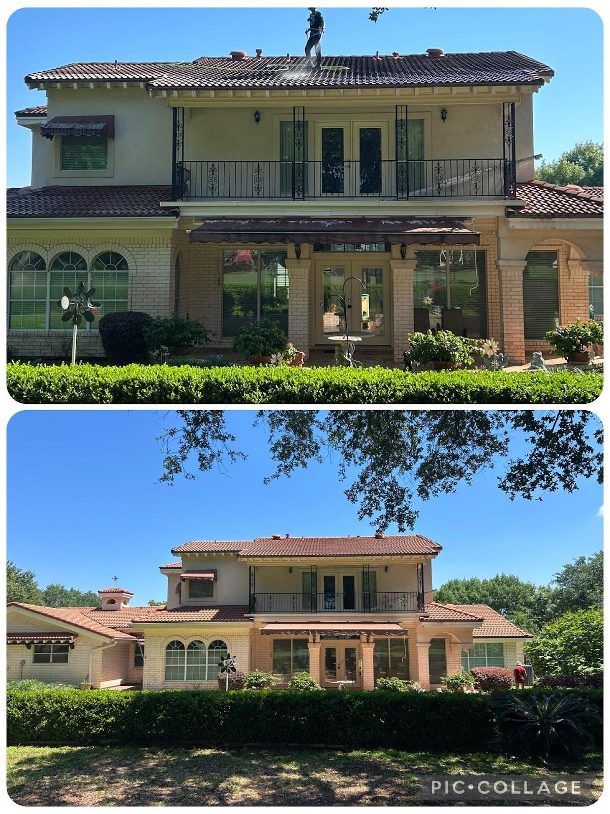 Window Cleaning